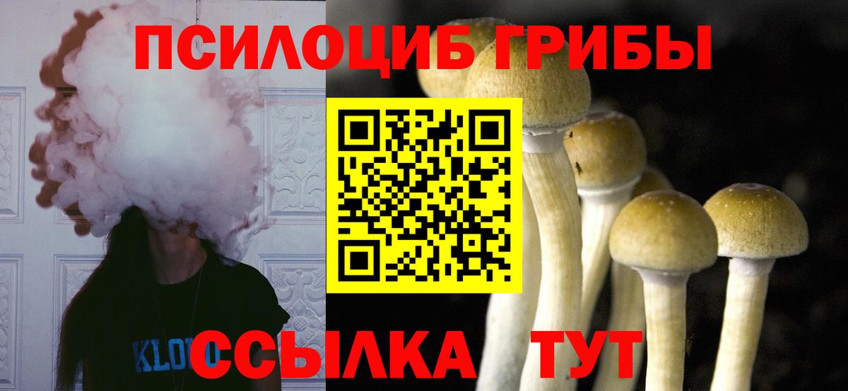 Псилоцибиновые грибы GOLDEN TEACHER  Вход с VPN  Серов  Галлюциногенные грибы ЛСД 