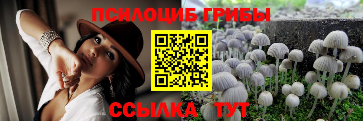 Бошки Шишки Серов